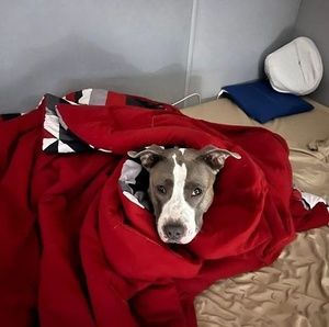 Meet your Posher, Marcy